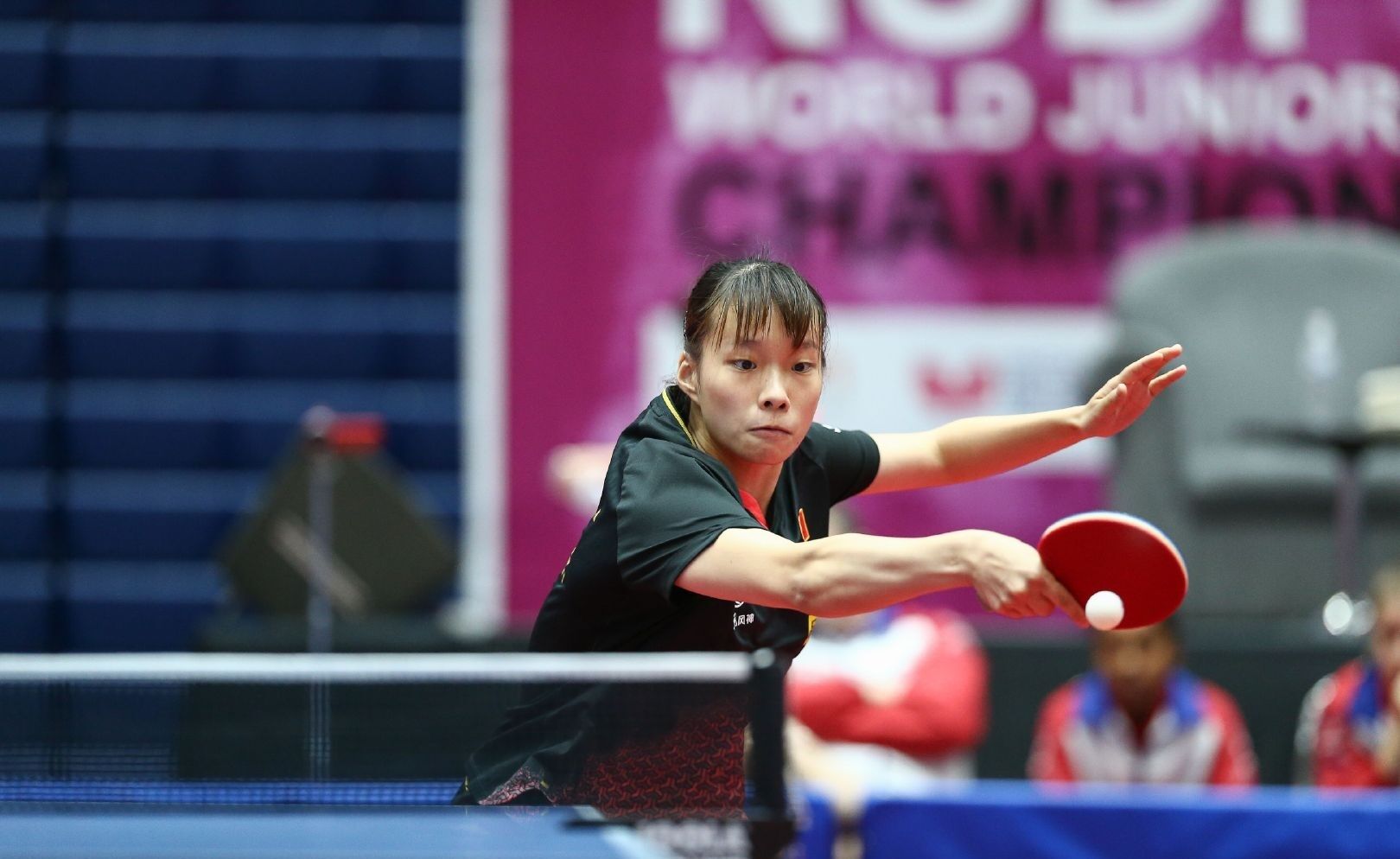 他的场上贡 他的场上贡