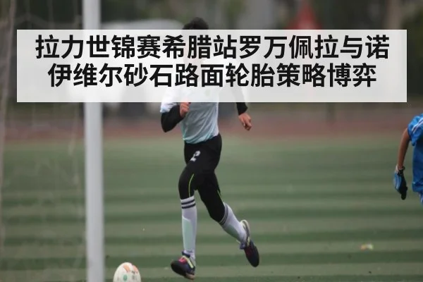 拉力世锦赛希腊站罗万佩拉与诺伊维尔砂石路面轮胎策略博弈